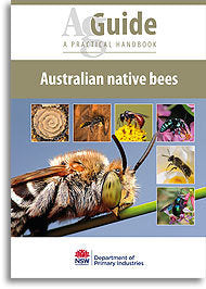 Australian native bees - AgGuide - Gifts For Dad