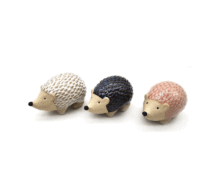 Echidna Pot Sitter - Gifts For Dad