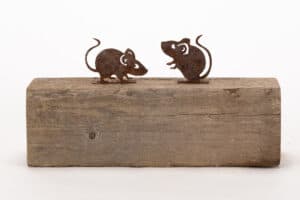 Mouse Silhouette - Gifts For Dad