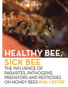 Healthy Bee, Sick Bee by Phil Lester - Gifts For Dad